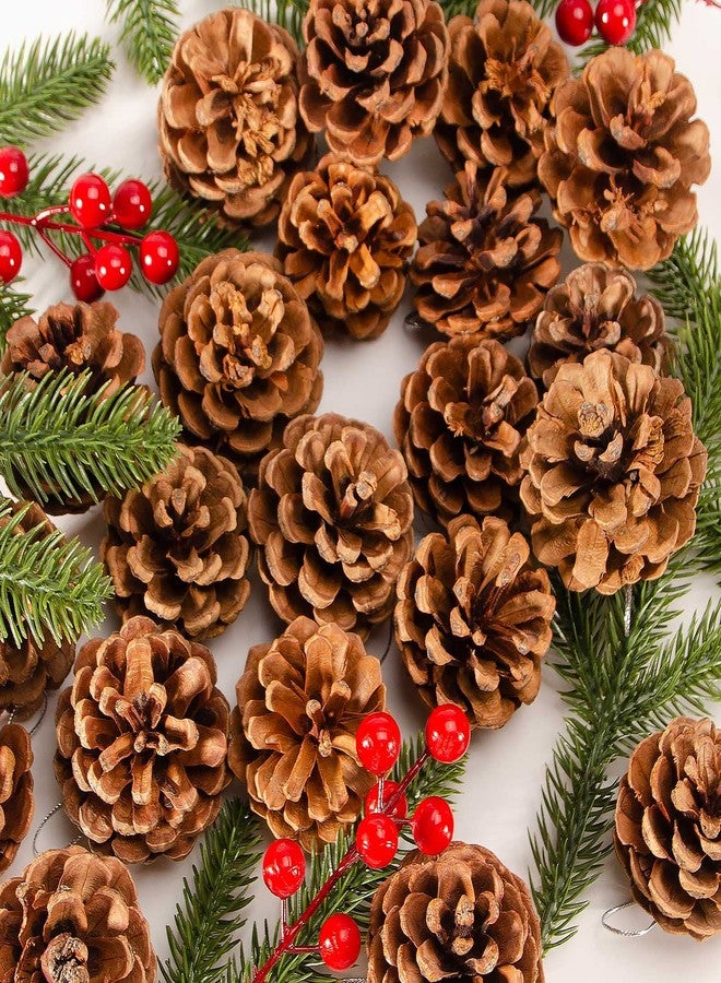 ZYP 24PCS Christmas Natural Pine Cones,Rustic Pinecones with String for Crafts & Decorating Winter Xmax Holidays Vase and Table Bowl Fillers(Dia. 1.57-1.96 Inches) - Image 3